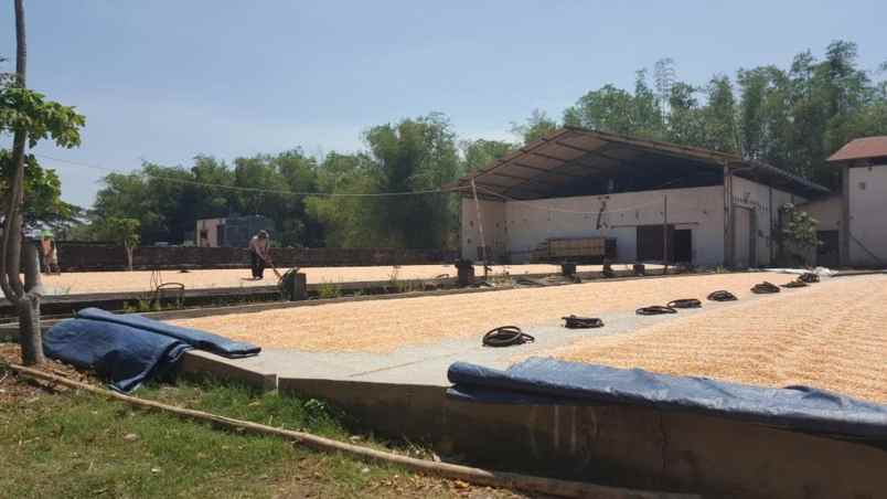 jual gudang murah strategis di kawasan kab nganjuk shm