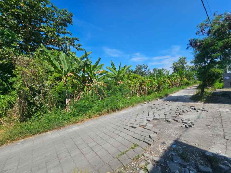 jual tanah komersial di berawa canggu bali