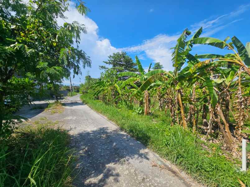 jual tanah komersial di berawa canggu bali