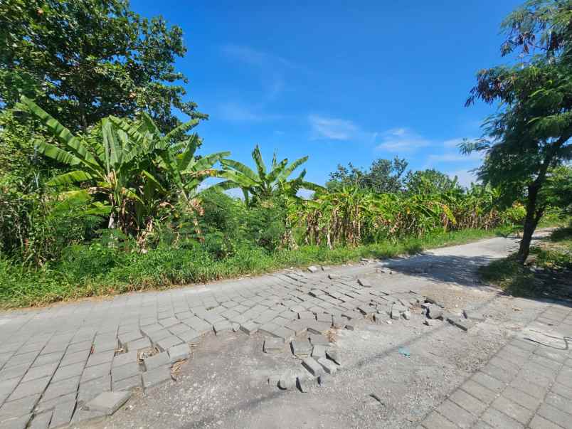 jual tanah komersial di berawa canggu bali