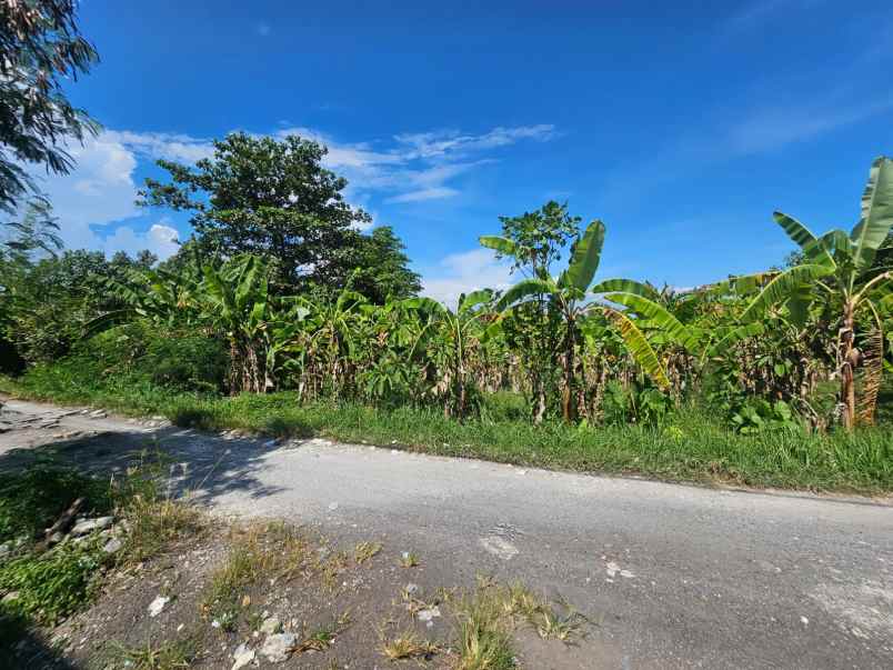 jual tanah komersial di berawa canggu bali