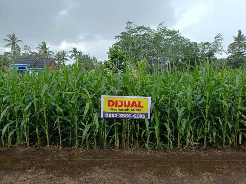 jual tanah murah kepanjen tegalsari kabupaten malang