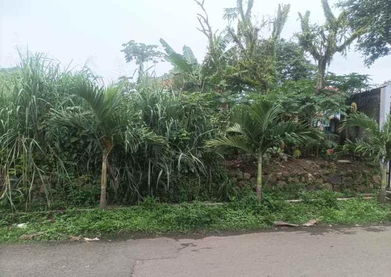 jual tanah shm karadenan cibinong bogor