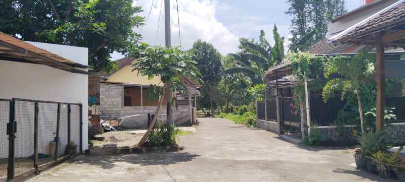 rumah bagus jogja cocok untuk homestay lt 213 m shm