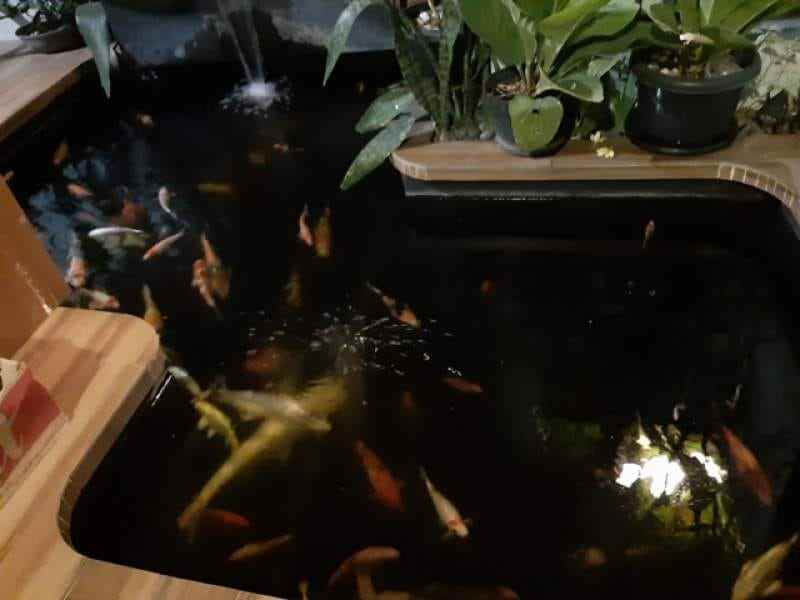 rumah bintara jaya bekasi jawa barat