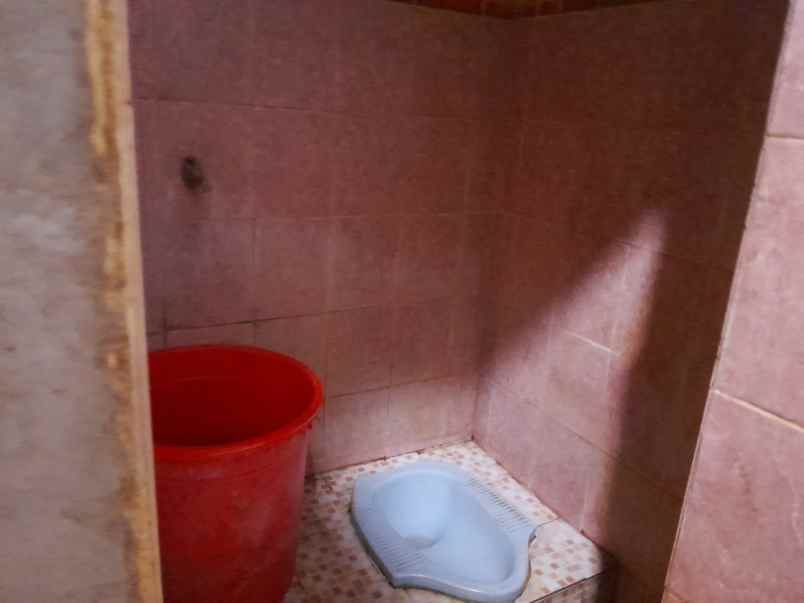 rumah luas 400 m 5 kamar di ciruas