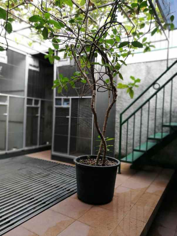 rumah lubang buaya jakarta timur