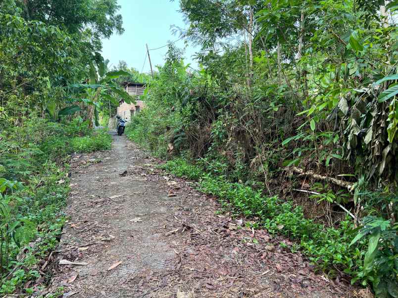 tanah 1355m 300 juta utara pasar matesih karanganyar