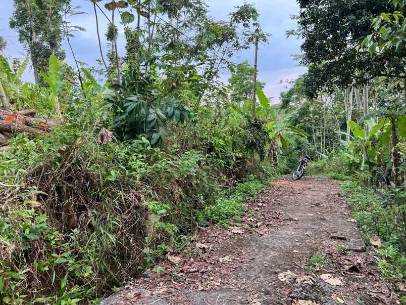 tanah 1355m 300 juta utara pasar matesih karanganyar