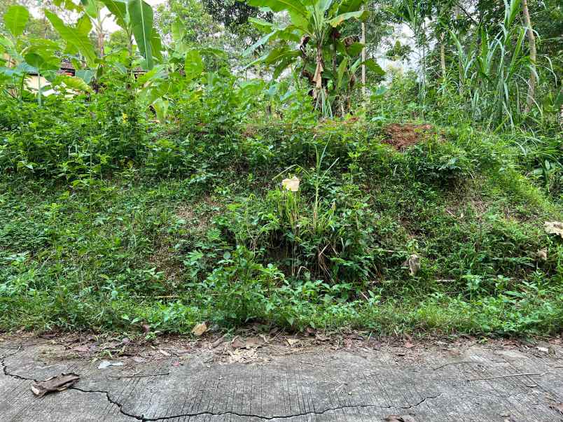 tanah 1355m 300 juta utara pasar matesih karanganyar