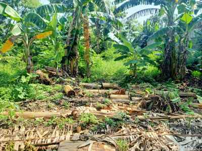 tanah darat strategis di jl raya jalen tambun bekasi