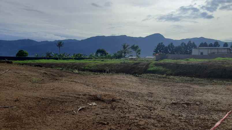 tanah desa citeko cisarua