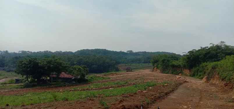 tanah desa klapanunggal bogor timur