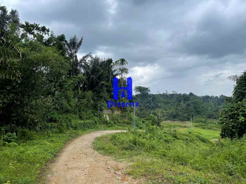 tanah dijual di jalan namorambe sembahe deli serdang