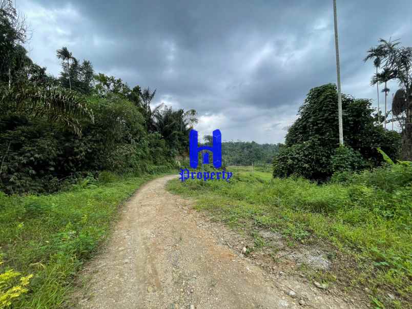 tanah dijual di jalan namorambe sembahe deli serdang