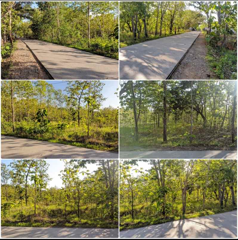 tanah investasi di sukoharjo