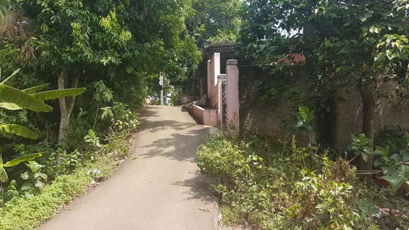 tanah jalan jls muncul