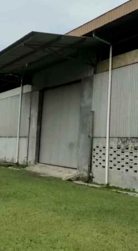 tanah jln cirebon losari pantura