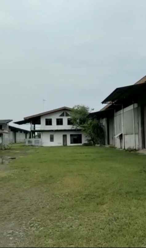 tanah jln cirebon losari pantura