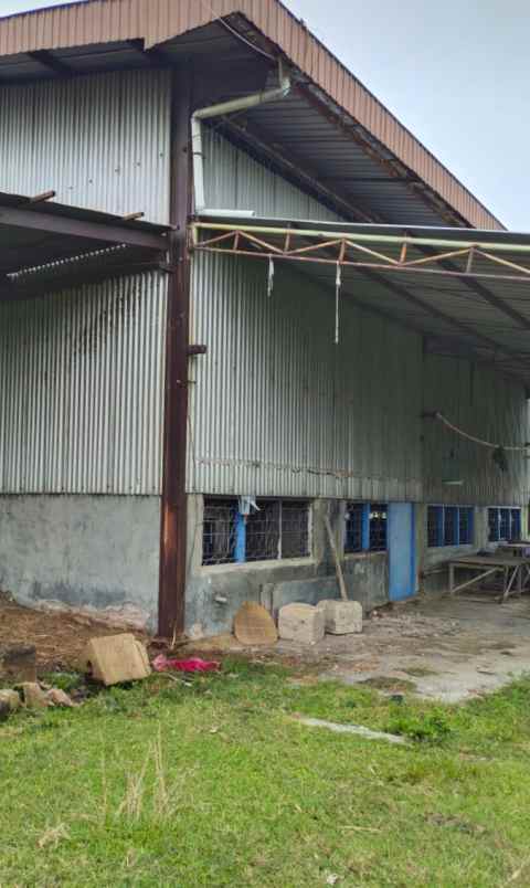 tanah jln cirebon losari pantura