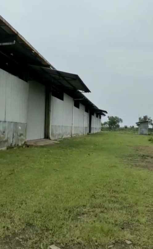 tanah jln cirebon losari pantura