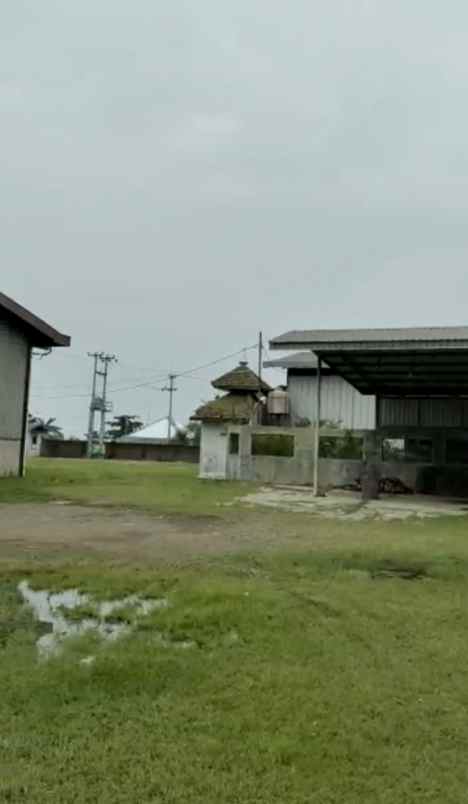 tanah jln cirebon losari pantura