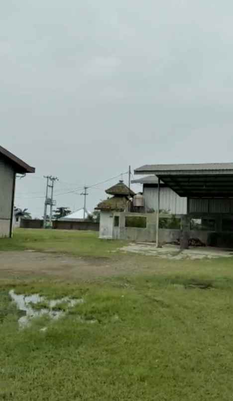 tanah jln cirebon losari pantura