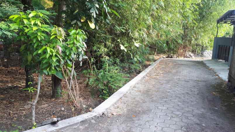 tanah jogja 5 menit kampus umy lt 623 m2