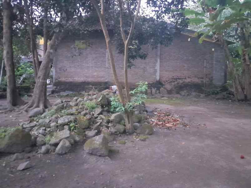 tanah jogja bonus rumah timur pasar godean ld 12 m