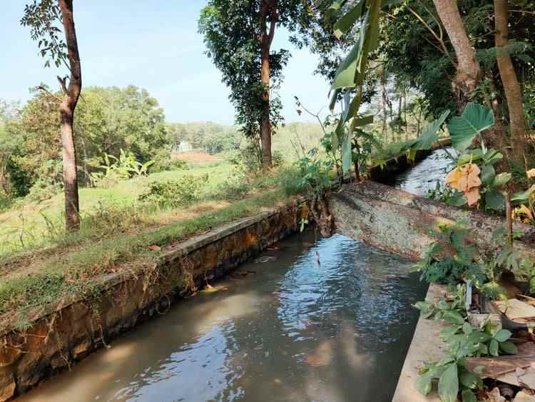 tanah karangpelem kedawung sragen