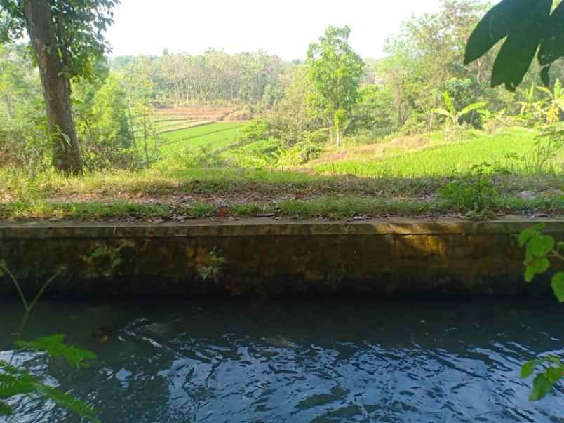 tanah karangpelem kedawung sragen