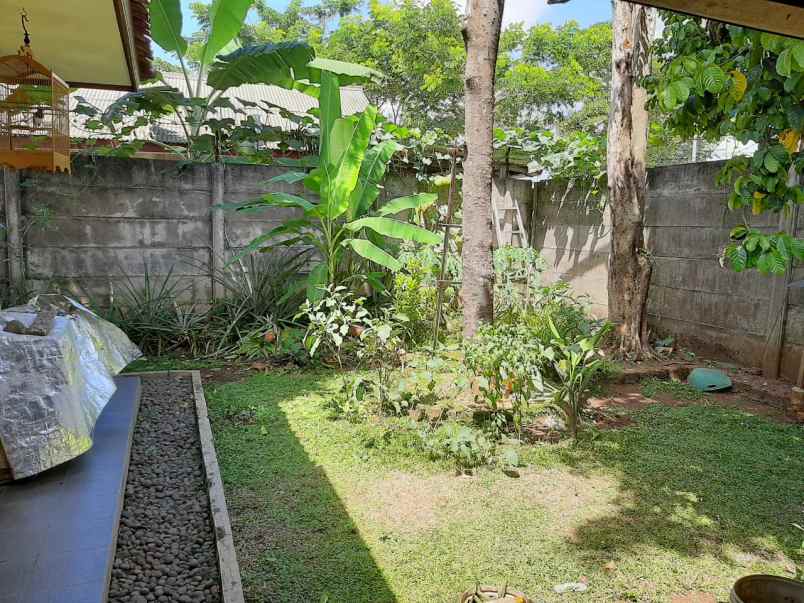 tanah krukut raya gandul