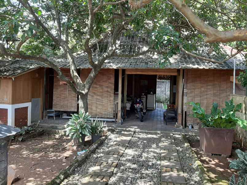 tanah krukut raya gandul