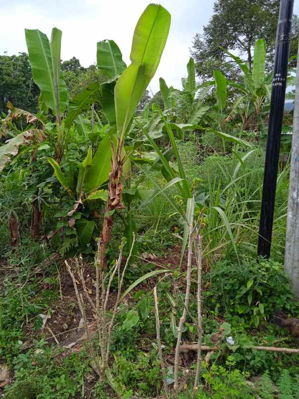 tanah luas 18 ha di batu putu bandar lampung
