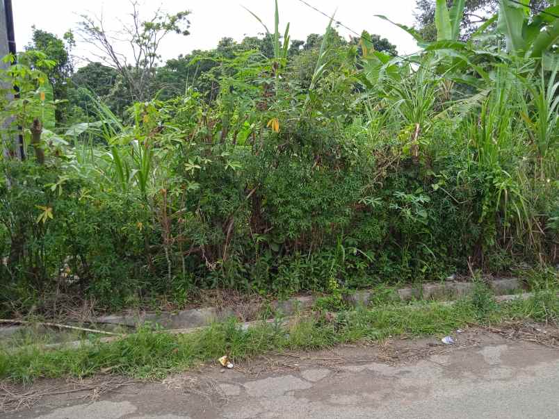 tanah luas 18 ha di batu putu bandar lampung