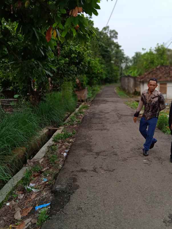 tanah luas 3000 m2 di batu putu bandar lampung