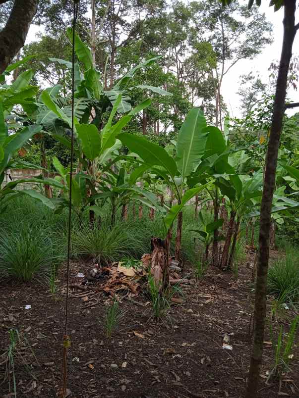 tanah luas 7000 m2 di batu putu bandar lampung