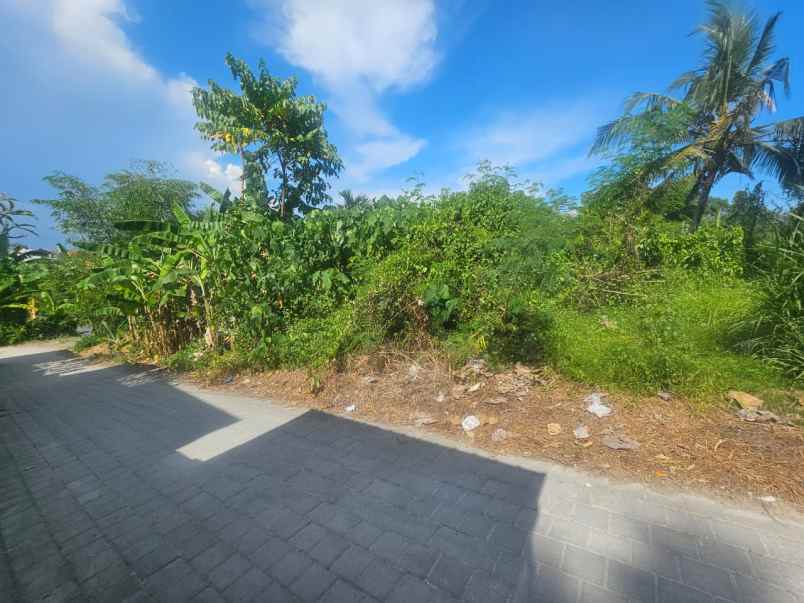 tanah premium view sawah di munggu cepaka