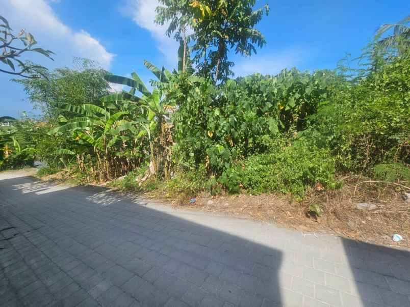 tanah premium view sawah di munggu cepaka