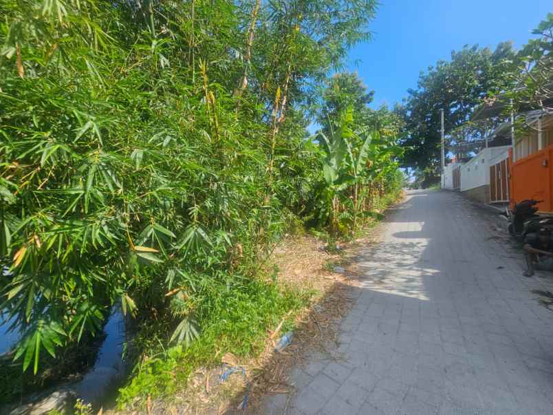 tanah premium view sawah di munggu cepaka