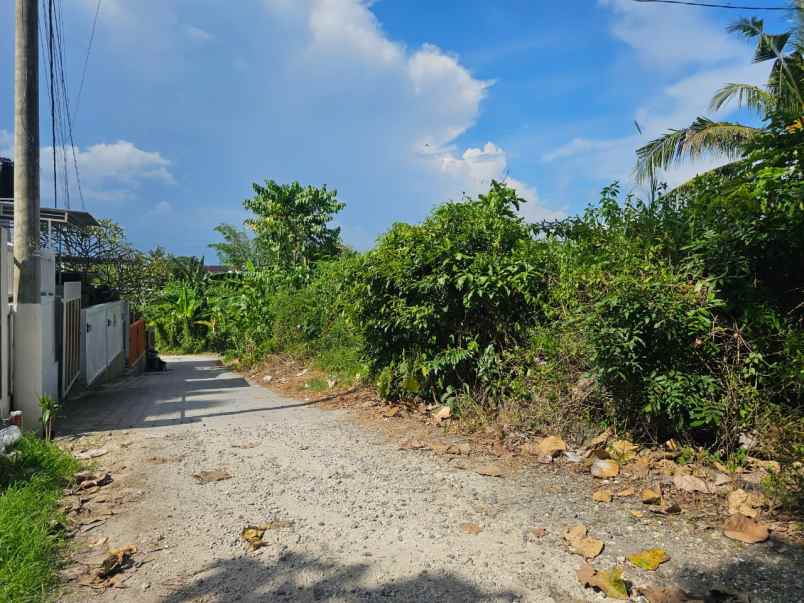 tanah premium view sawah di munggu cepaka