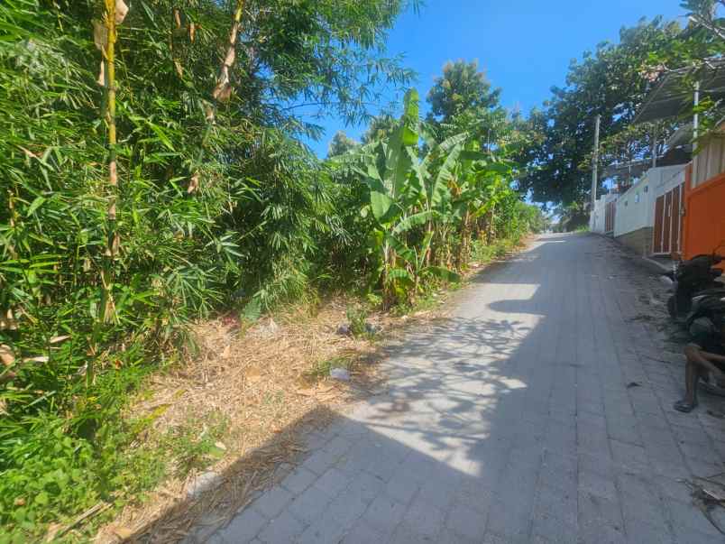 tanah premium view sawah di munggu cepaka