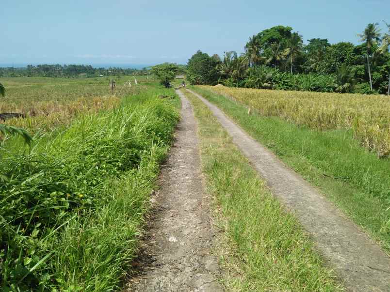 tanah selemadeg tabanan