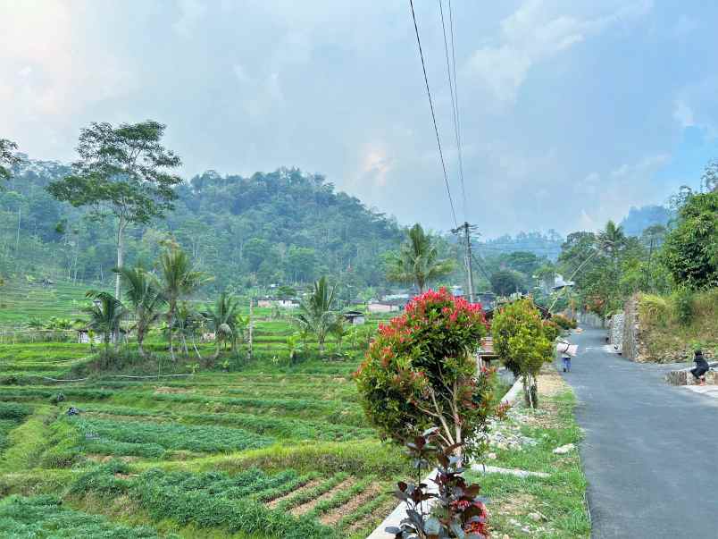tanah startegis 605m siap bangun tawangmangu