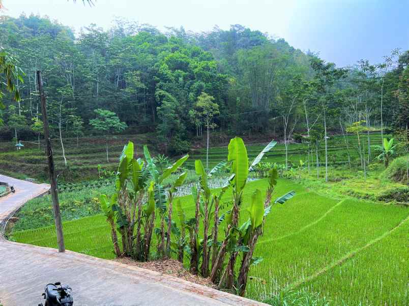 tanah startegis 605m siap bangun tawangmangu