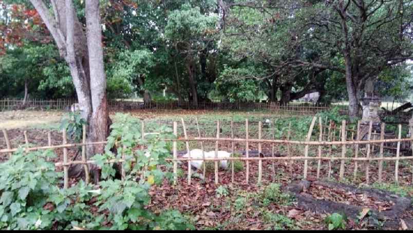beach front land di kelecung tabanan bali