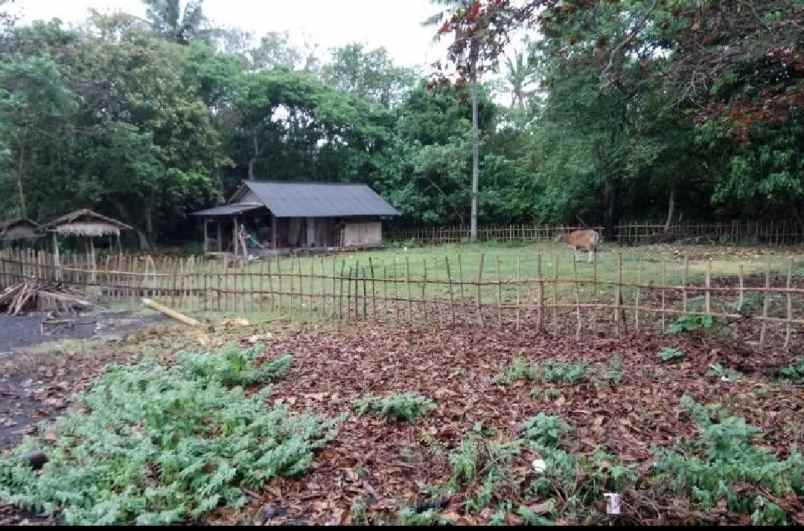 beach front land di kelecung tabanan bali