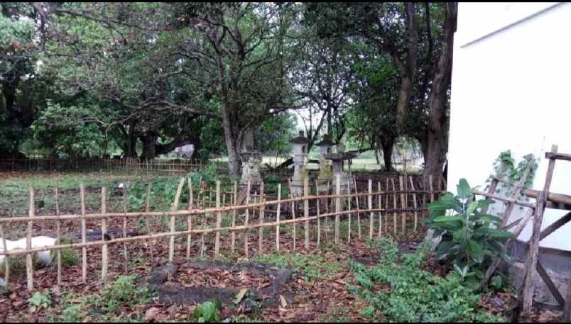 beach front land di kelecung tabanan bali