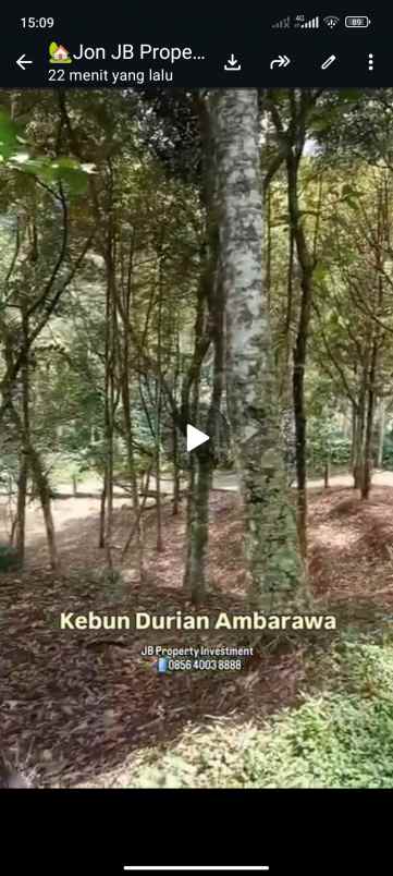 dijual kebun durian di ambarawa kab semarang