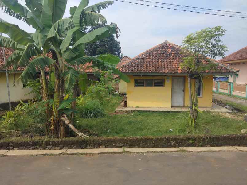 dijual rumah halaman luas pinggir jl desa